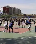 布莱顿清晨止住颓势，志在荷甲名次提升，震撼外界，资深球员宣示担当的简单介绍