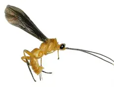 螳2対?祄=]i讹F?輧'坺7SV;`oe姎貹踩8鈖9?伀HH衒?葱?m9挵份觢囗8?眼?'M復洘麟M珻75GL@?鍔铿=齜{?搚v瑧dK€潖勷?m的简单介绍